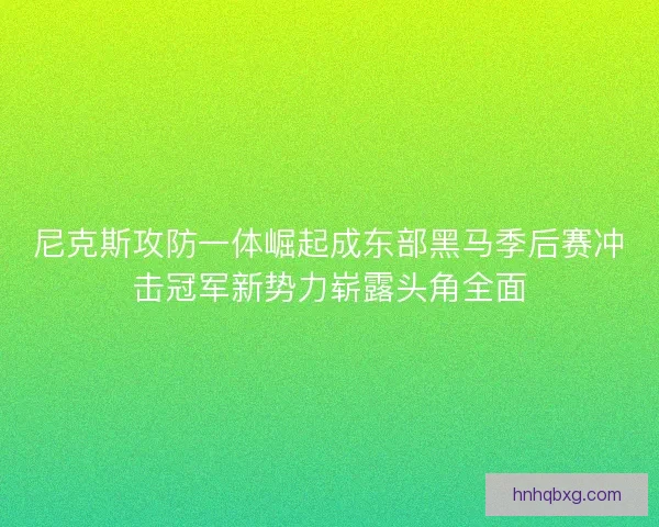 尼克斯攻防一体崛起成东部黑马季后赛冲击冠军新势力崭露头角全面